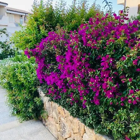 Apartment Lotus Wellness - Ginestre - - Sardinia *